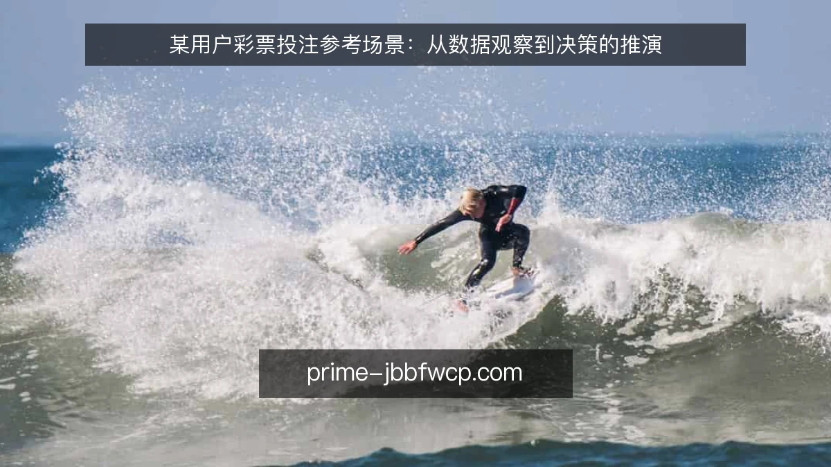 某用户彩票投注参考场景：从数据观察到决策的推演